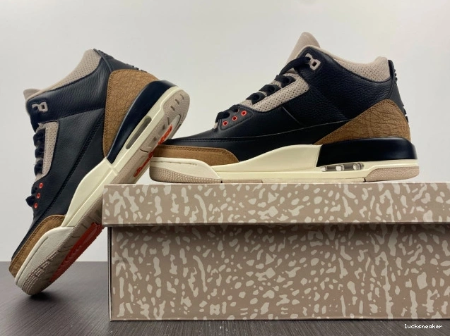 Reps LUCY Air CT8532-008 Jordan Elephant Desert 3 0715